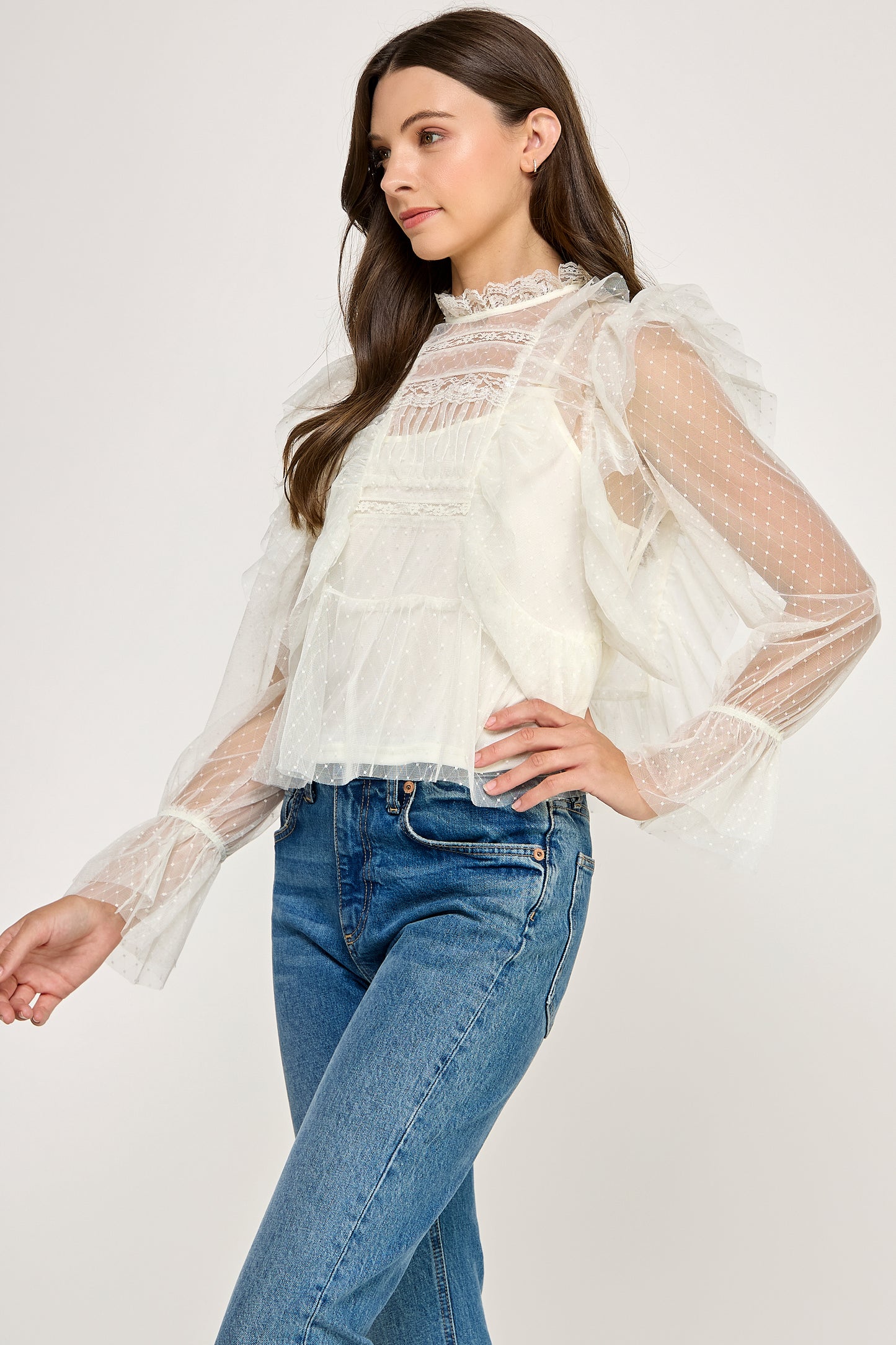 LONG SLEEVE RUFFLE SHEER BLOUSE