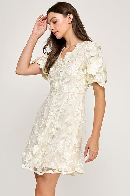 3D FLORAL LACE DRESS