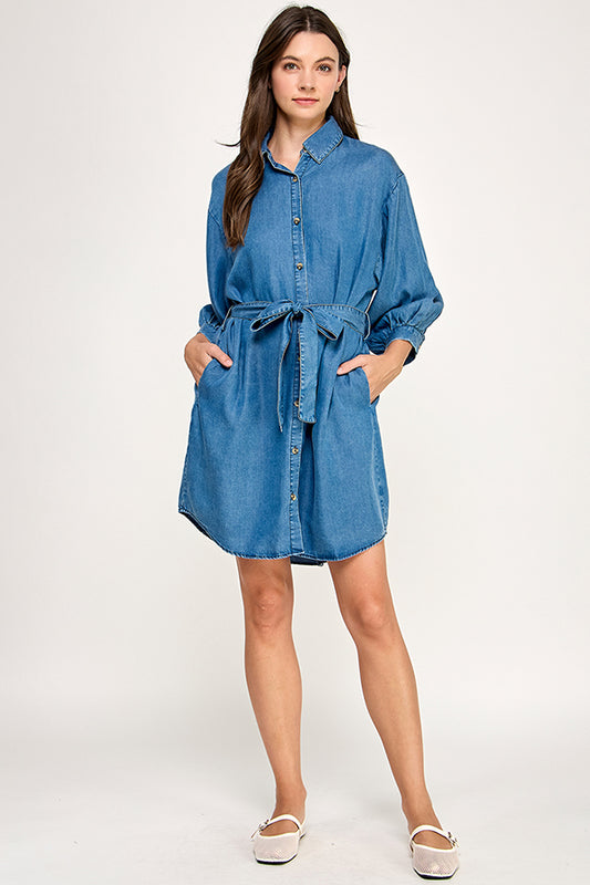 BUTTON DOWN DENIM DRESS