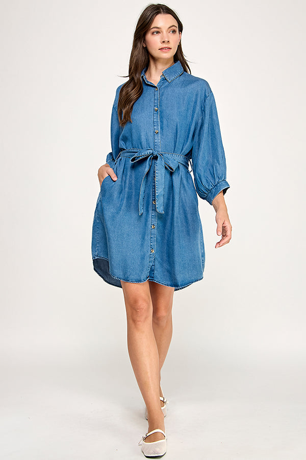 BUTTON DOWN DENIM DRESS