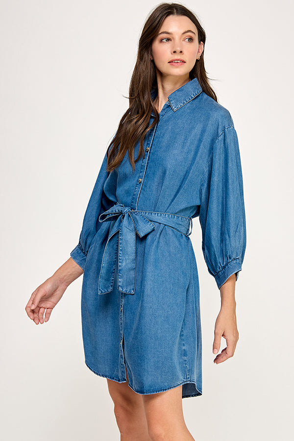 BUTTON DOWN DENIM DRESS