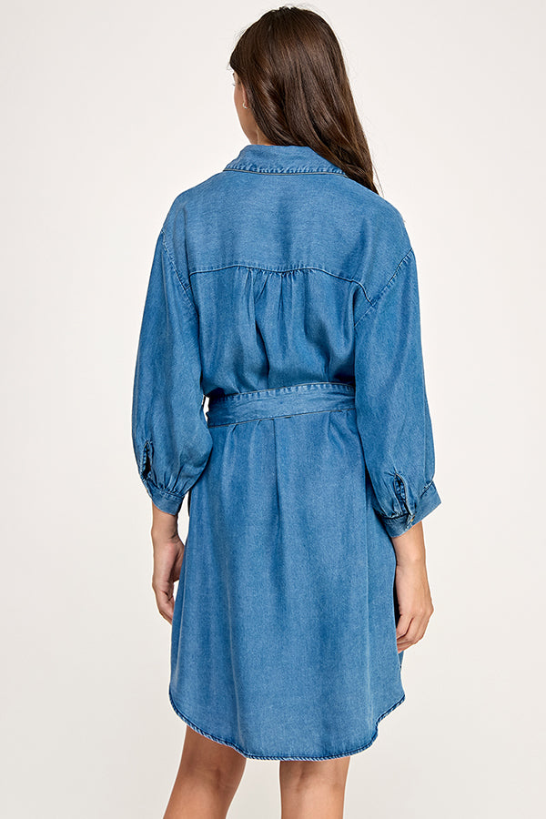 BUTTON DOWN DENIM DRESS